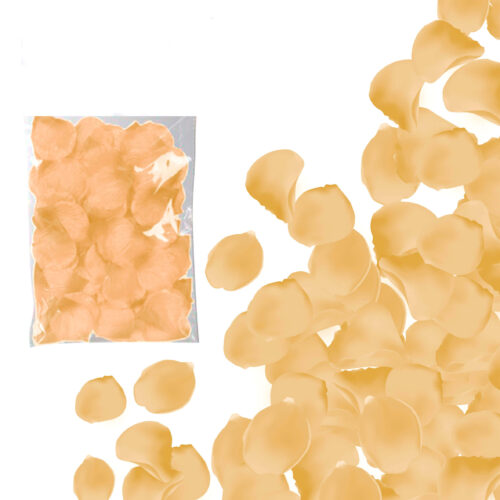 100 PETALOS VAINILLA